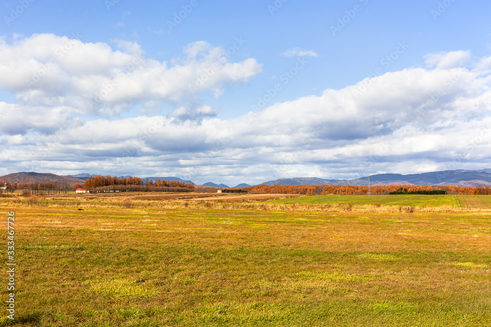 日本の北海道東部・上士幌町付近、秋の風景 日本の北海道東部・上士幌町付近、秋の風景