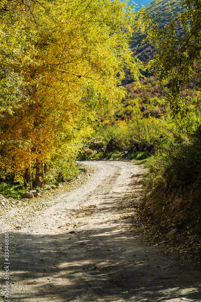 Dirt road in a mountainous woodland. Chulyshman Valley, Ulagansky District, Altai Republic, Russia Dirt road in a mountainous woodland. Chulyshman Valley, Ulagansky District, Altai Republic, Russia