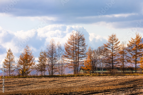 日本の北海道東部・上士幌町付近、秋の風景 © Hirayama Toshiya