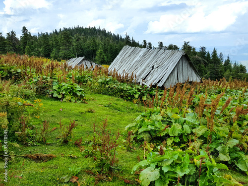 country house in the mountains