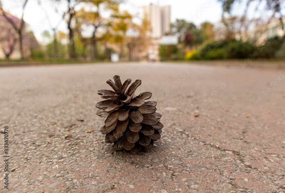 A pineapple in the middle of a street in the city A pineapple in the middle of a street in the city