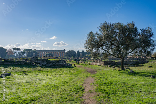 The stunning Paestum Italy photo