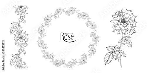vector floral arrangement with rose flowers and rose buds