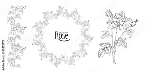 vector floral arrangement with rose flowers and rose buds