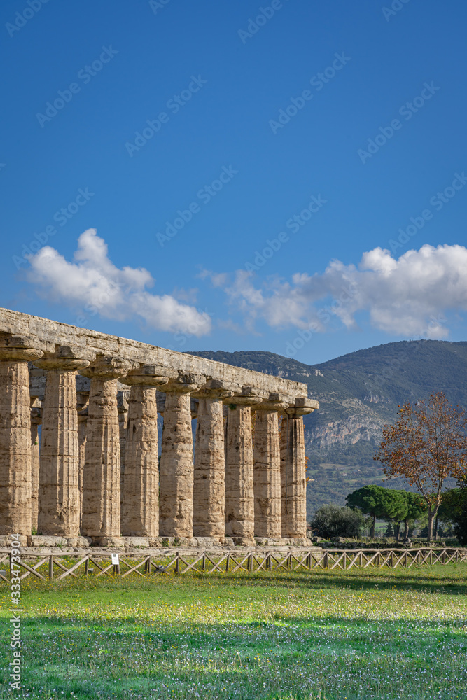 Fototapeta premium A look at a temple in Paestum Italy