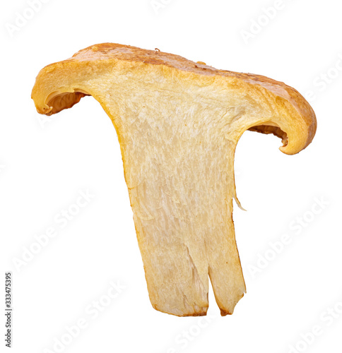 Chanterelle mushrooms isolated on white background photo