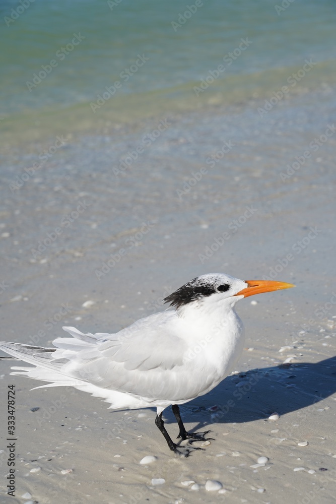 Summer day at the beach