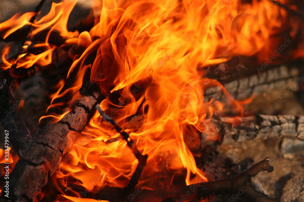 beautiful bonfire flame beautiful bonfire flame