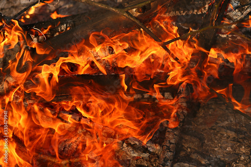 beautiful bonfire flame