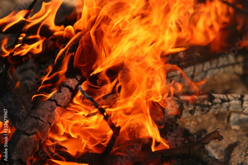beautiful bonfire flame