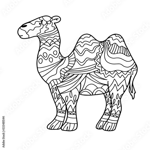  vector illustration of a kids coloring camel on a white background isolated
