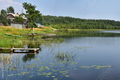 Trees, bushes and grasses on the banks of a beautiful quiet lake.