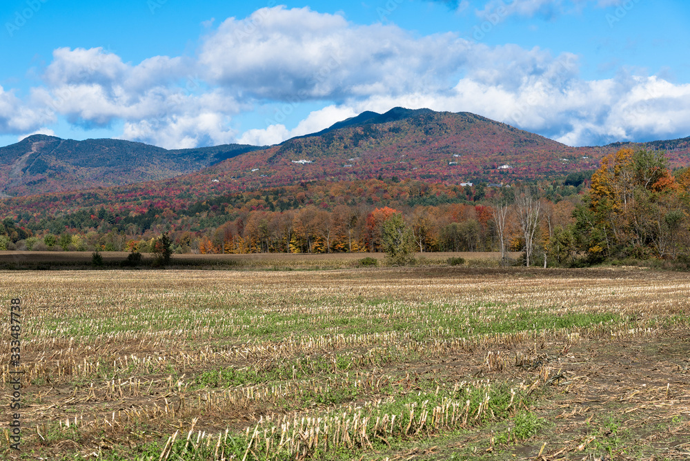 Harvested field at the foot of forested mountains during the fall color season Harvested field at the foot of forested mountains during the fall color season
