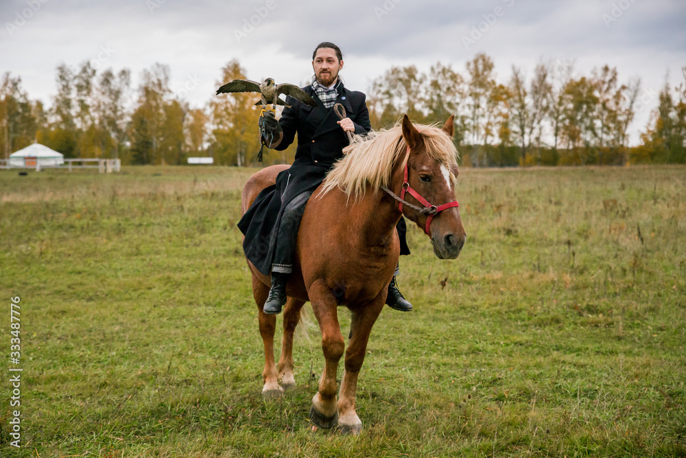 The concept of falconry. A man with a leather glove and a beautiful Falcon on handon a chestnut, red, and red horse