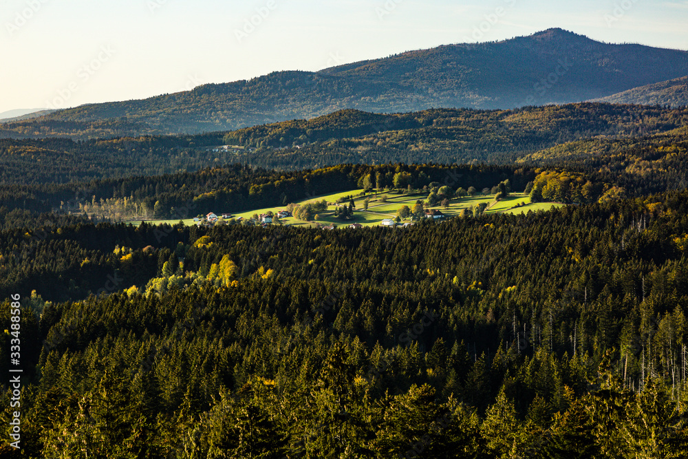 Bayerischer Wald bei Neuschönau