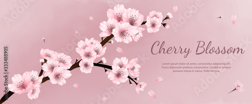 Banner flowers cherry blossoms watercolor ,spring , summer with pink background