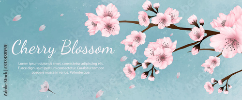 Banner flowers cherry blossoms watercolor ,spring , summer with green background