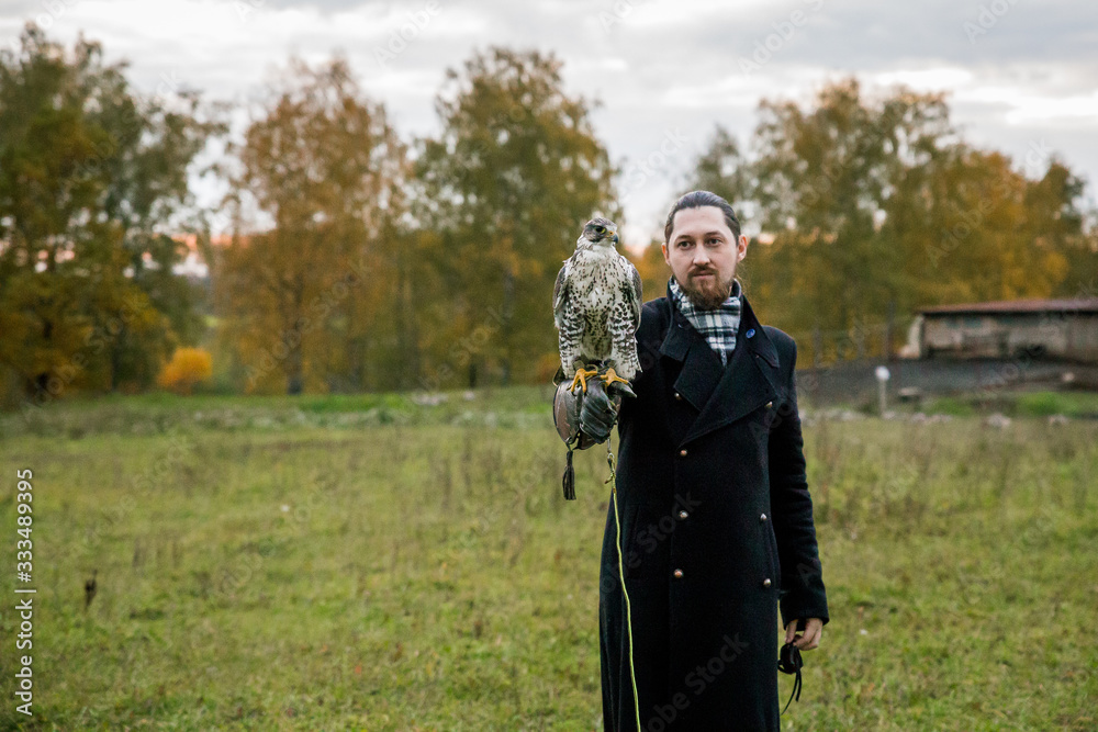 Fototapeta premium The concept of falconry. A man of European appearance with beard, with a leather glove and a beautiful hawk on his hand