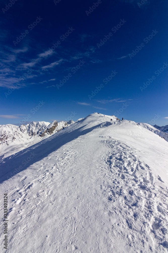 Obraz premium Views of Tatra mountains near Zakopane (Poland)