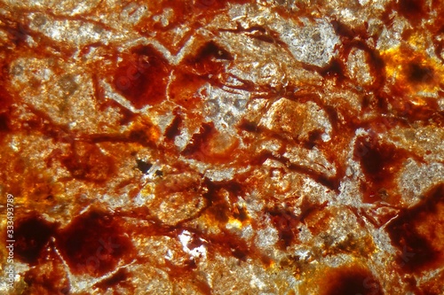 Petrographic thin section of an iron rich laterite soil.