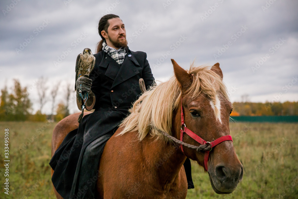Obraz premium The concept of falconry. A man with a leather glove and a beautiful Falcon on handon a chestnut, red, and red horse