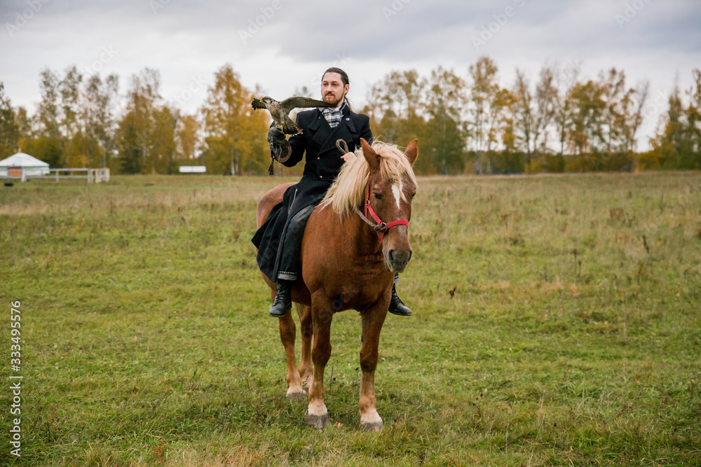 The concept of falconry. A man with a leather glove and a beautiful Falcon on handon a chestnut, red, and red horse