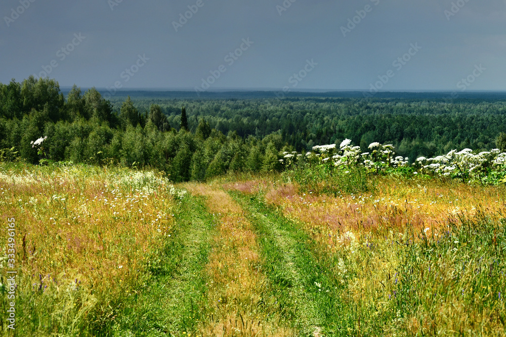 Fototapeta premium Summer fields, forests and meadows, under the bright and warm sun and fluffy clouds.