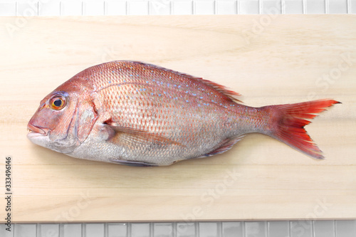 japanese red sea bream, Tai, Madai snapper, pagrus major isolated on cutting board photo