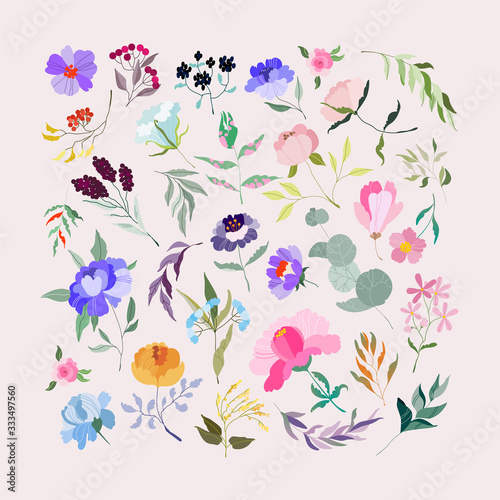 Vector Flowers set. Elegant feminine eucalyptus, wild purple peonies, violet branch, branches with berries. Variety of garden botanics for web, app, pattern and logo design. Modern illustration.