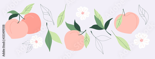Round orange peaches, leafs and flowers. Set of trendy vector hand drawn illustrations. Healthy natural food, juicy summer fruit elements for web, app, textile, wallpaper, stationery design.