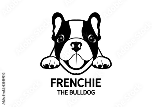 Cute adorable chubby french bulldog puppy is hungry and waiting for his snack. Little frenchie logo symbol mark can use for variety artworks.