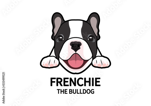 Adorable Full Color French Bulldog Face Logo Mark. Cute chubby frenchie in good mood is waiting for his snack.