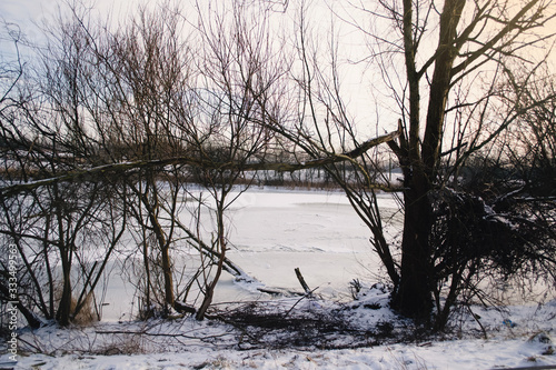 Fototapeta Naklejka Na Ścianę i Meble -  Lovely winter landscape in the netherlands