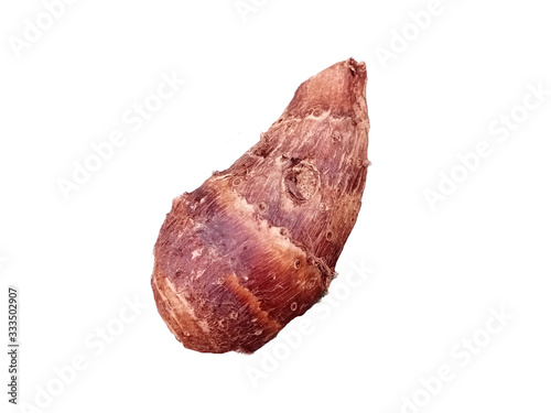 Baby taro root isolated on white background.