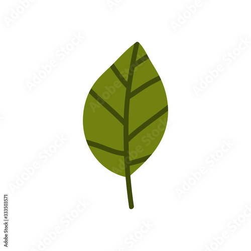 leaf doodle icon  vector illustration