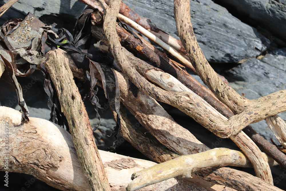Driftwood 