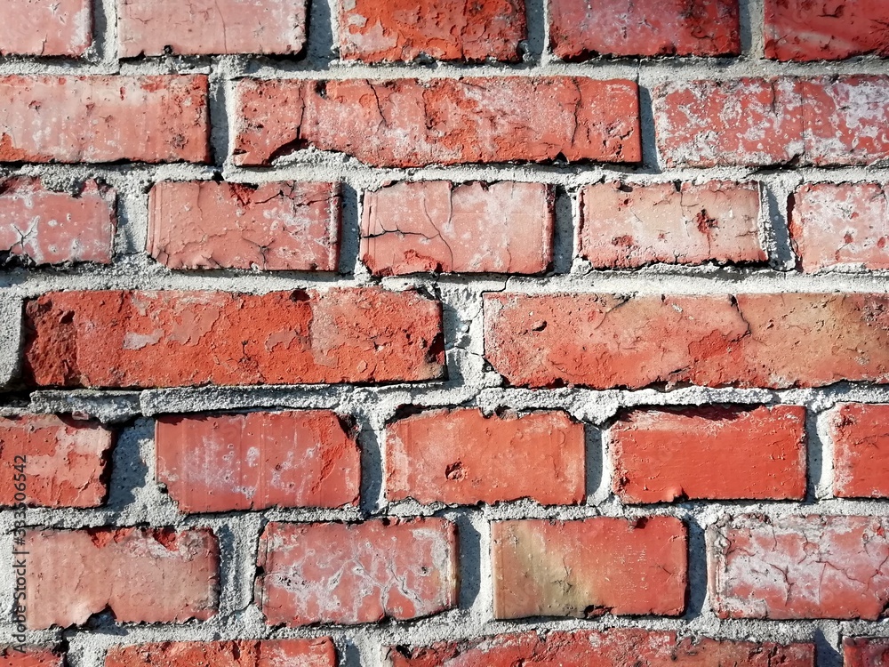 Orange bricks of the wall as the background. Orange bricks of the wall as the background.