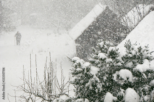 Snow blizzard in winter, dense snow falling with strong wind and old woman walking through the snow, metorological cold windy and snowy weather photo
