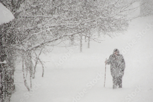 Snow blizzard in winter, dense snow falling with strong wind and old woman walking through the snow, metorological cold windy and snowy weather photo