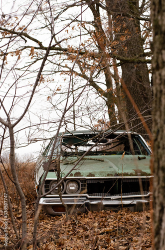 abandoned car in woods