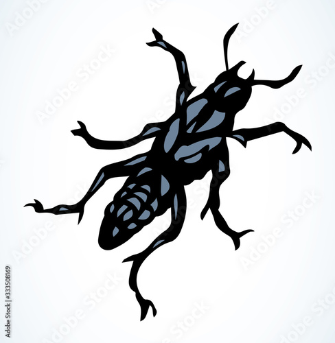 Night butterfly. Vector drawing icon photo