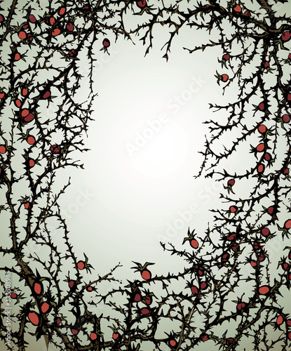 Branch of Blackthorn. Vector drawing