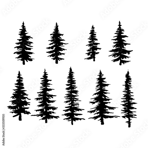 vector spruce tree  ink plant sketch  hand drawing  black silhouette illustration