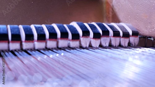 fengers inside the piano photo