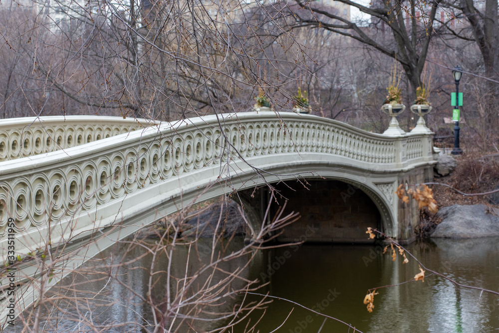 Naklejka premium bow bridge over the lake
