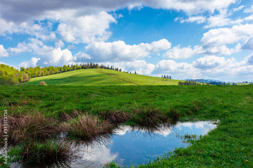 wonderful sunny weather with clouds above the hill. reflecting puddle among green grass on the meadow in dappled ligth, forest in the distance. great nature scenery of carpathian mountains