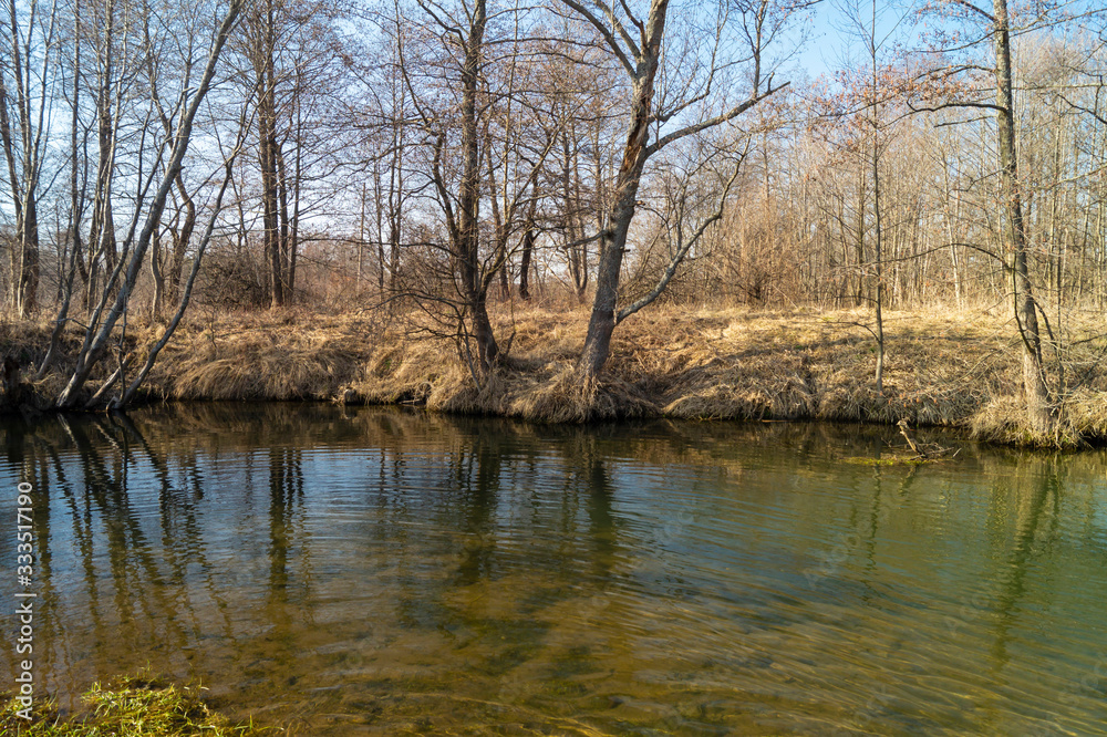 Spring landscape with stream in wood on background blue sky