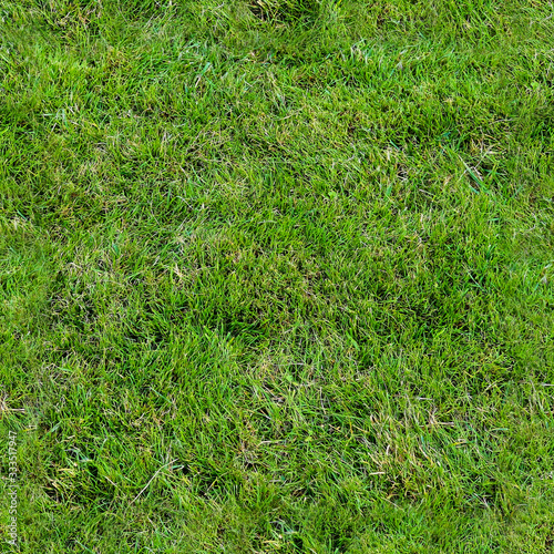 Schilderij op canvas High resolution foto realistic seamless texture of green grass and plants