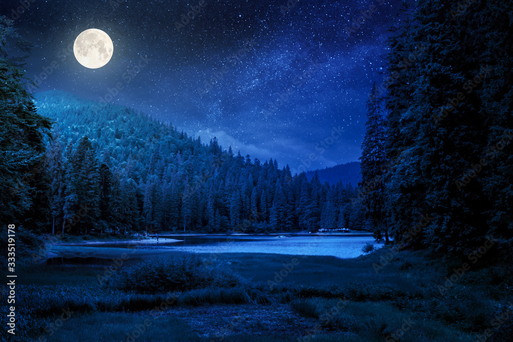 Beautiful Night Scenery