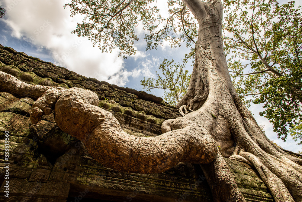 Inside Ta Prohm temple in Cambodia Inside Ta Prohm temple in Cambodia